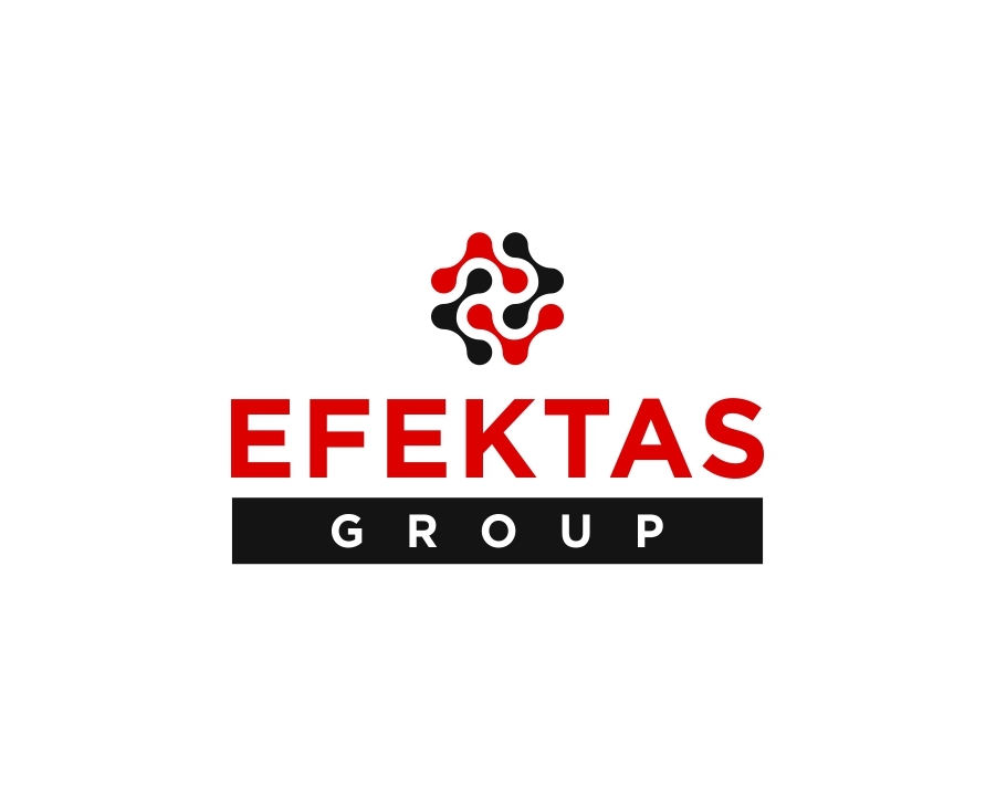 Internship at Efektas Group