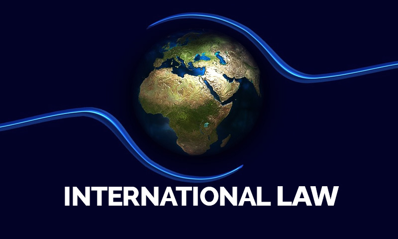 Направление «Международное право»