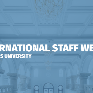 International Staff Training Week (Caucasus University, Tbilisi, Georgia)